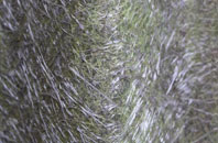 Greenwells fibreglass roof work